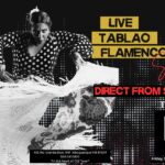 Flamenco_(6000_x_4000_px)_copy (1)